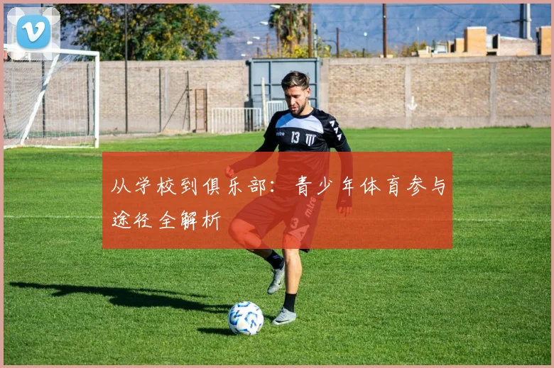 从学校到俱乐部:青少年体育参与途径全解析